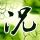金在中称无法原谅亲生父亲